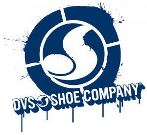 dvs.jpg