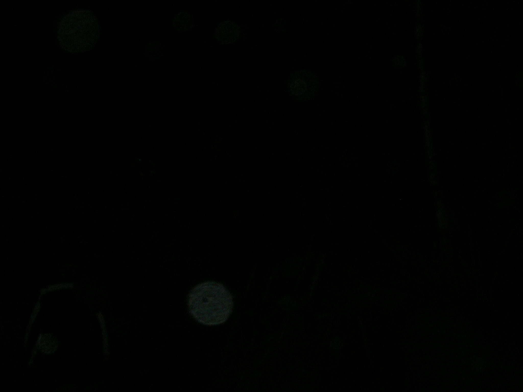 DSCN7765.JPG