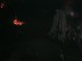 DSCN7761.JPG